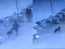 Brigade Al-Qassam Luncurkan Video Serangan Maut Terhadap Pasukan Israel di Rafah