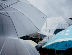 BNPB: Cuaca Ekstrem Dorong Terjadinya Bencana di Yogyakarta dan Bogor